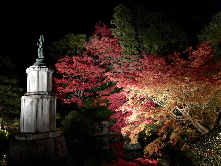Kyoto