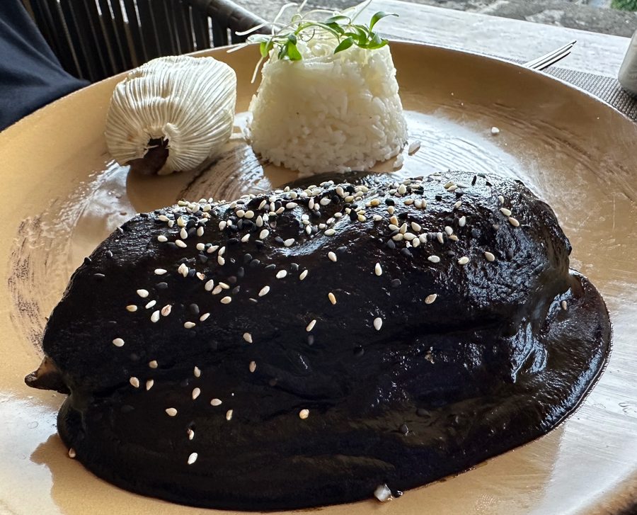 Mole Negro