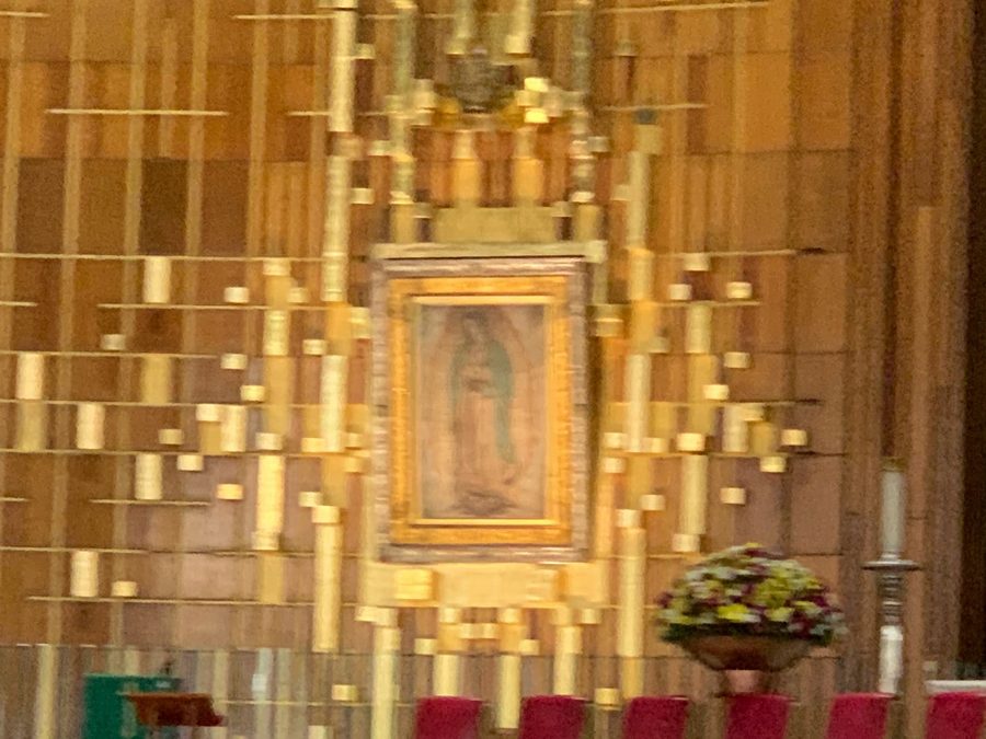 The Virgin of Guadalupe