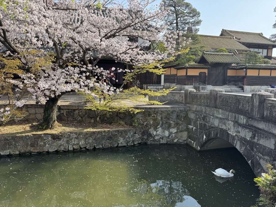 The Stone Bridge