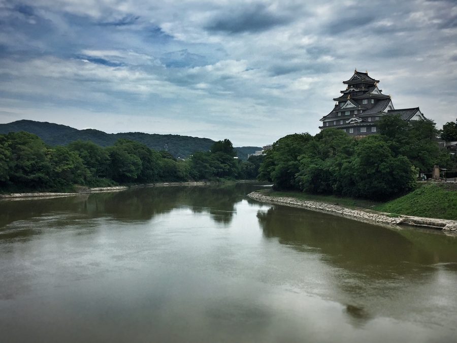 The Asahi, in Summer